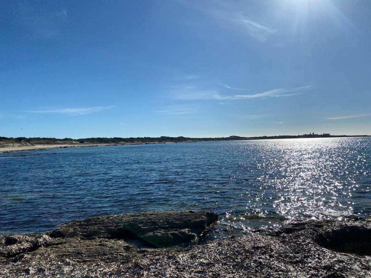I Fenicotteri - Appartamenti Sul Mare Calasetta Eksteriør billede