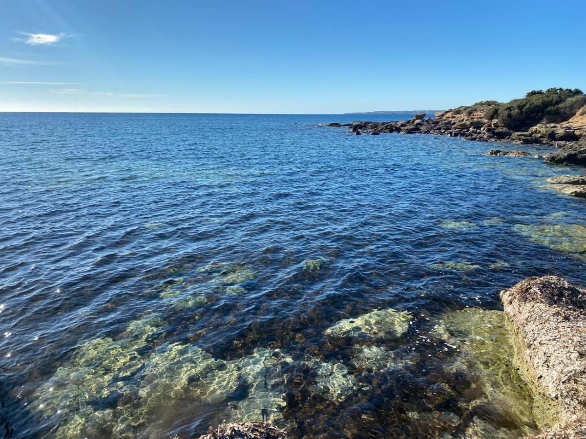 I Fenicotteri - Appartamenti Sul Mare Calasetta Eksteriør billede